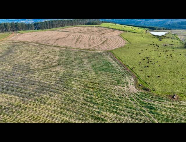 LAND FOR SALE IN MOUNT VERDE